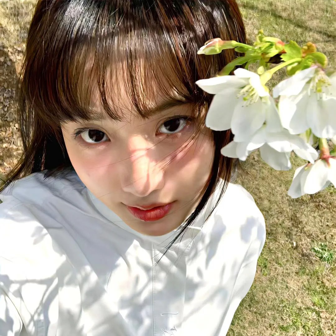 一年级·大学季